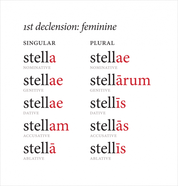 Latin Declensions WIP