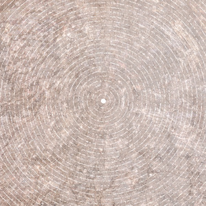 A small light circle at center surrounded by rings of light concentric circles.
