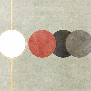 Left to right in a line: a white circle, a red circle, a dark gray circle, and a light gray circle.