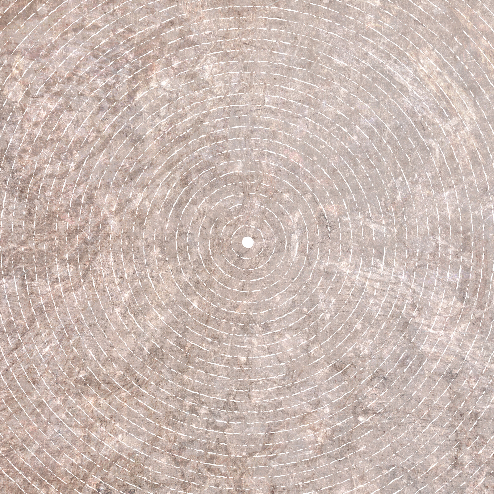 A small light circle at center surrounded by rings of light concentric circles.